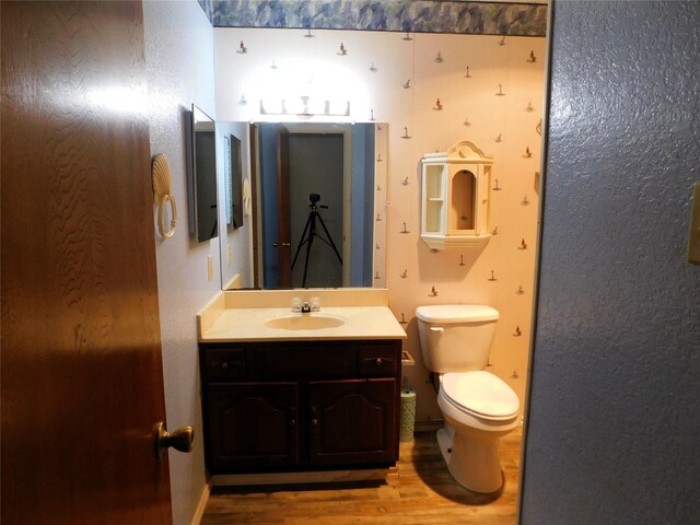 bathroom with vanity, toilet, and wood-type flooring