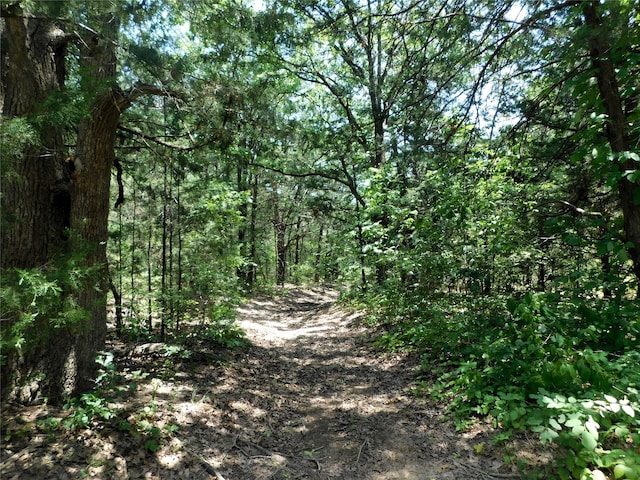 view of local wilderness