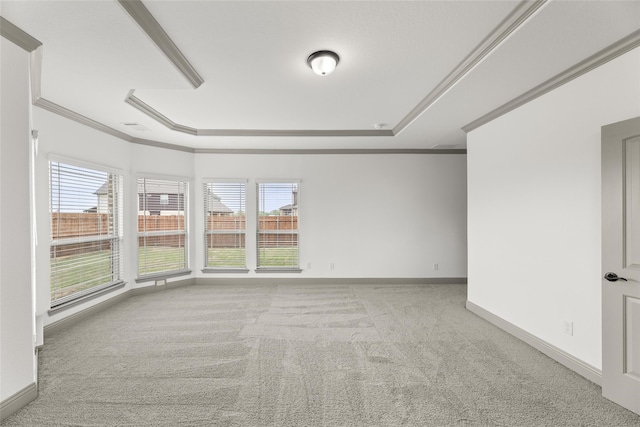 carpeted spare room with ornamental molding, a wealth of natural light, and a raised ceiling