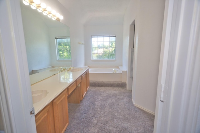 bathroom featuring vanity and a bathing tub