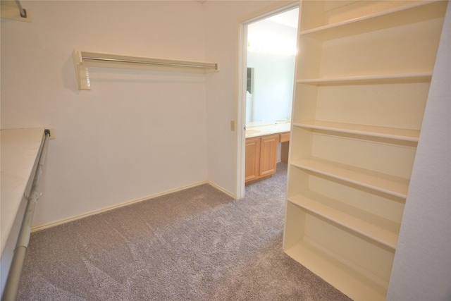 walk in closet with light colored carpet