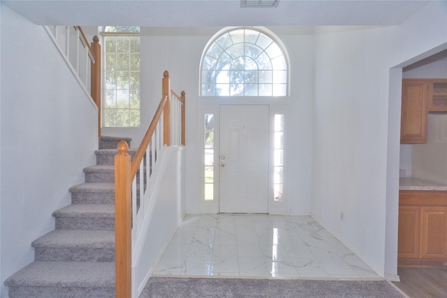 foyer featuring a healthy amount of sunlight