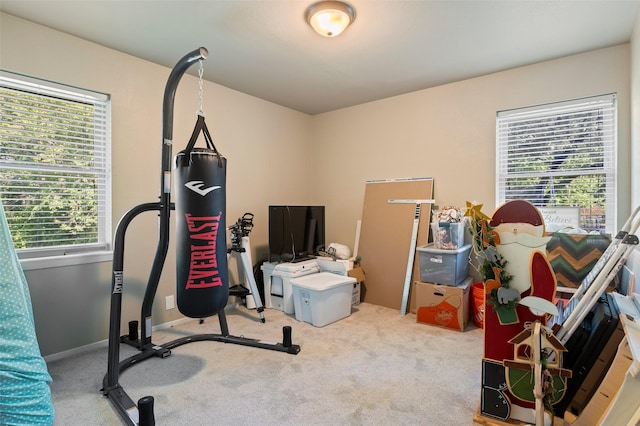 exercise area with a wealth of natural light and carpet flooring