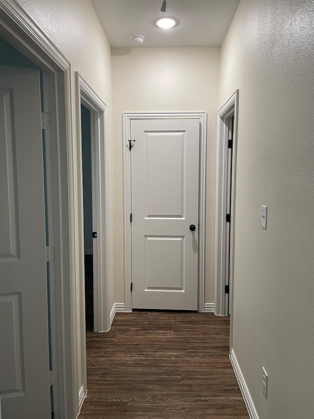 hall featuring dark wood-type flooring