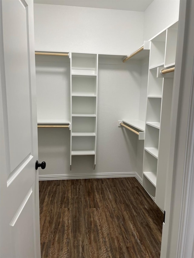 walk in closet featuring dark hardwood / wood-style floors