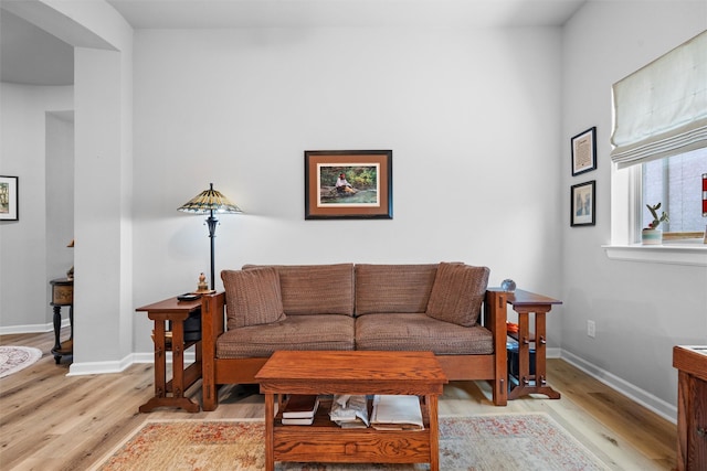 living room with light wood-type flooring