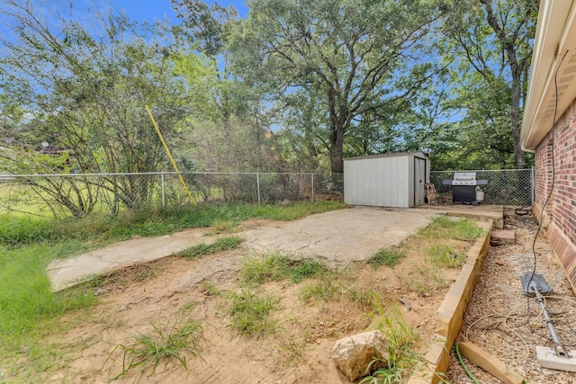 view of yard featuring a shed