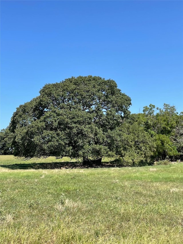 Listing photo 2 for TBD County Road 2150, Telephone TX 75488