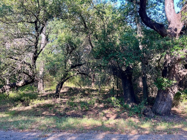 25083 Woodhaven Dr, Whitney TX, 76692 land for sale