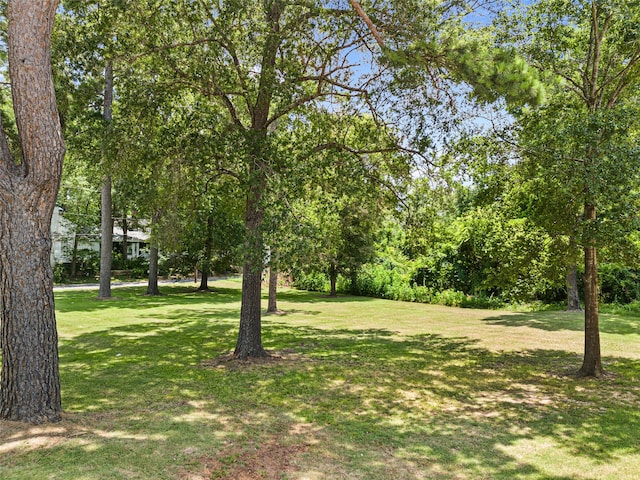 Listing photo 3 for TBD Owens St, Jefferson TX 75657