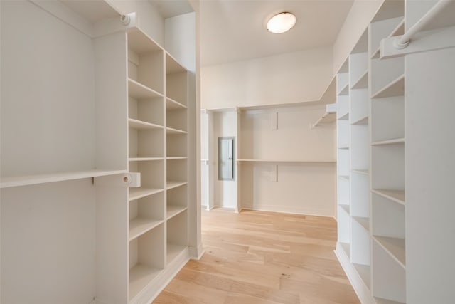 walk in closet featuring light wood-type flooring