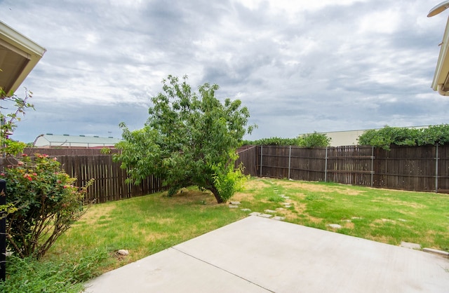 view of yard with a patio