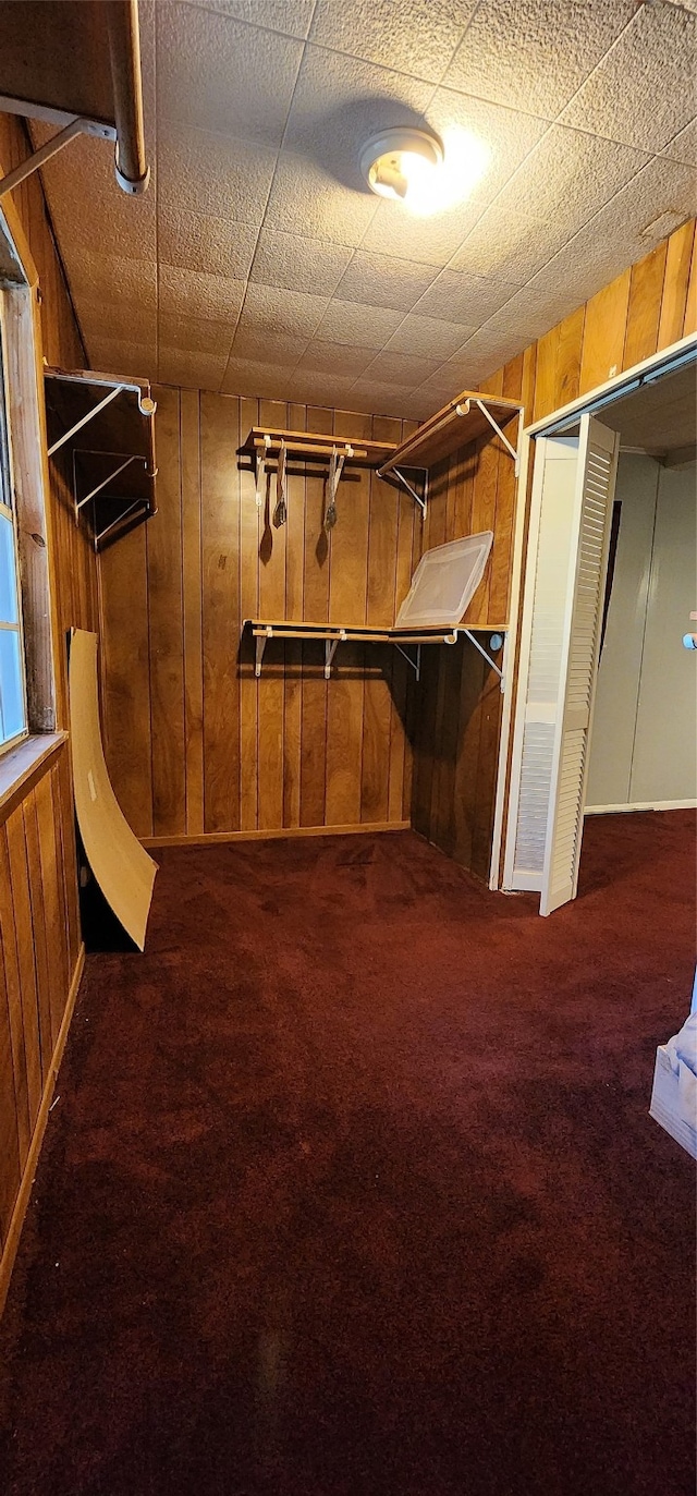 spacious closet with dark colored carpet