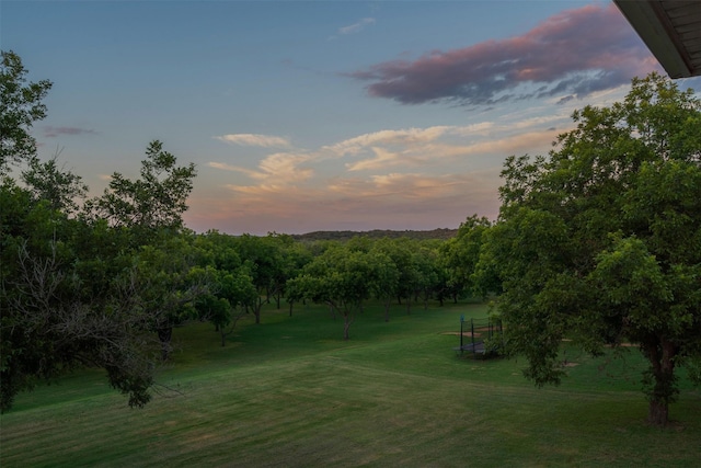 view of yard at dusk