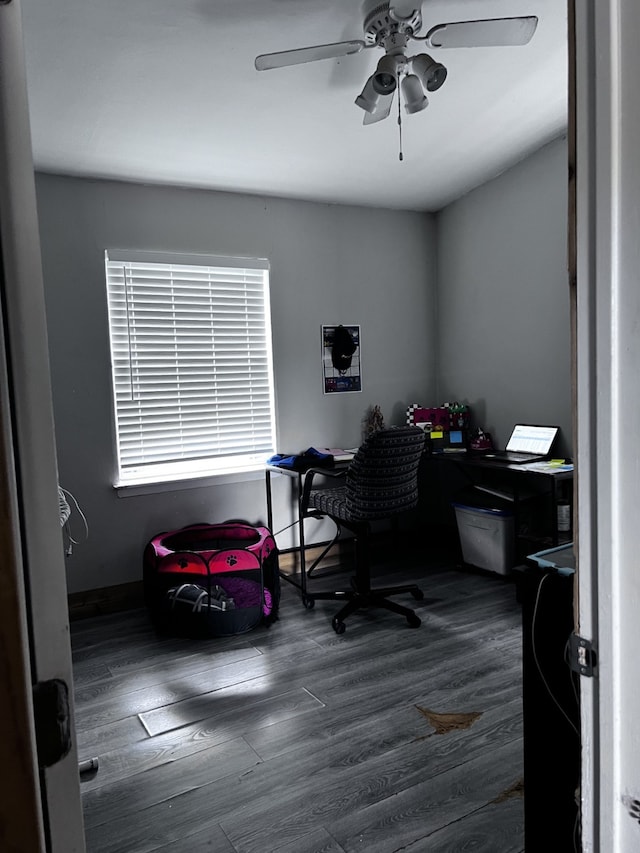 home office featuring dark hardwood / wood-style floors and ceiling fan