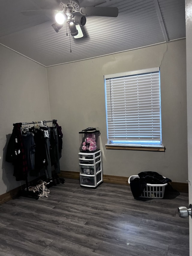 misc room with dark hardwood / wood-style floors and ceiling fan