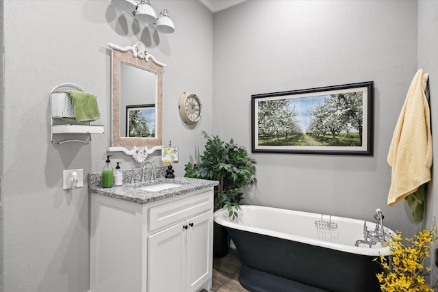 bathroom featuring vanity and a bathtub