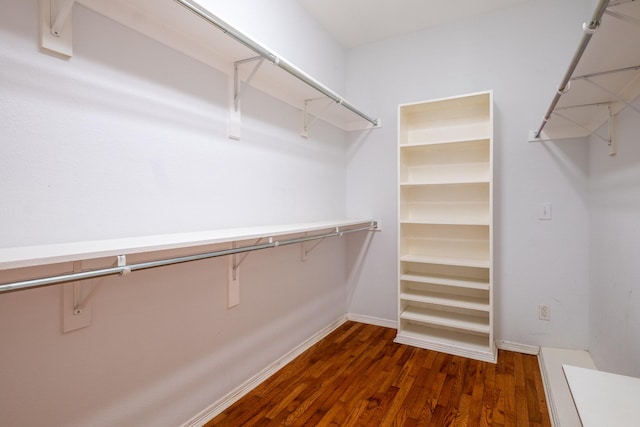 walk in closet with dark wood-type flooring