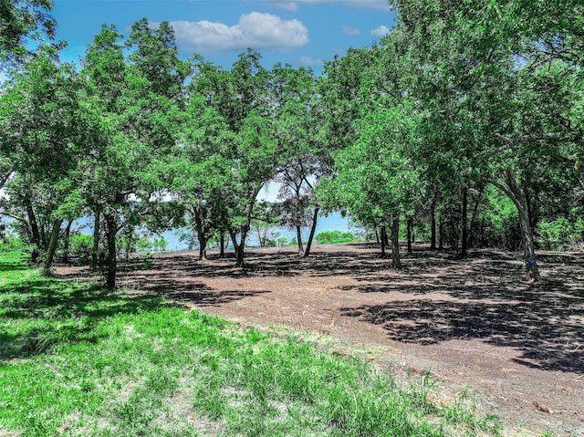 LOT11 Longview Ln, Lone Oak TX, 75453 land for sale