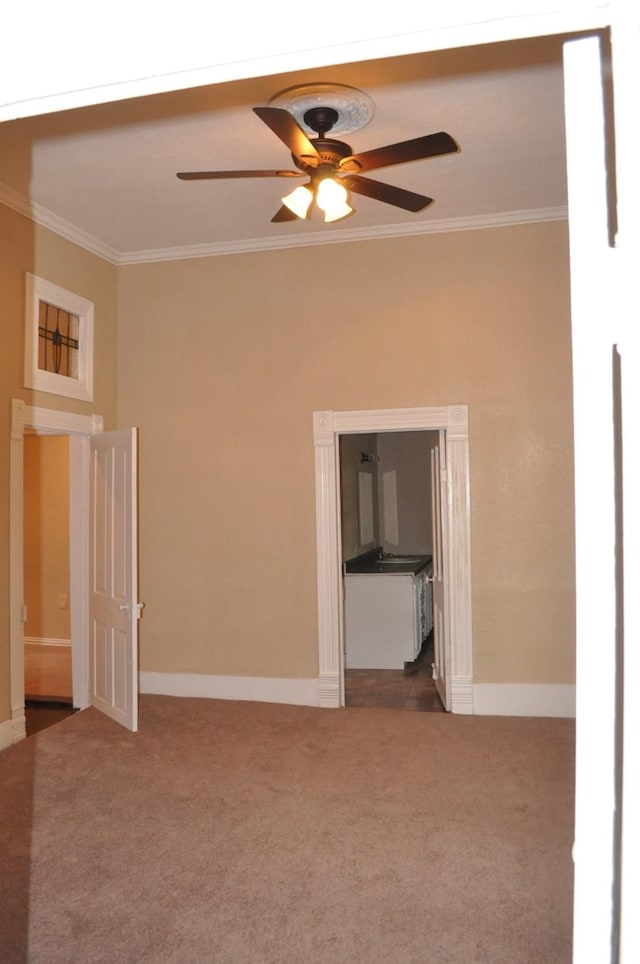 unfurnished room with ceiling fan, carpet, and ornamental molding