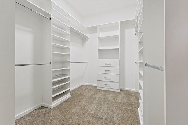 walk in closet featuring carpet flooring