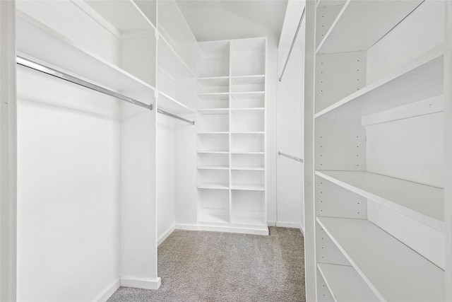 walk in closet with carpet