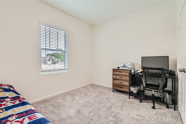 bedroom featuring carpet flooring