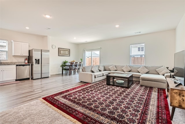 living room with a healthy amount of sunlight and light hardwood / wood-style flooring