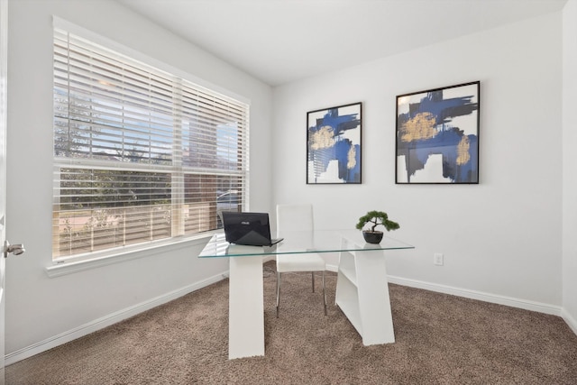 office area featuring carpet floors