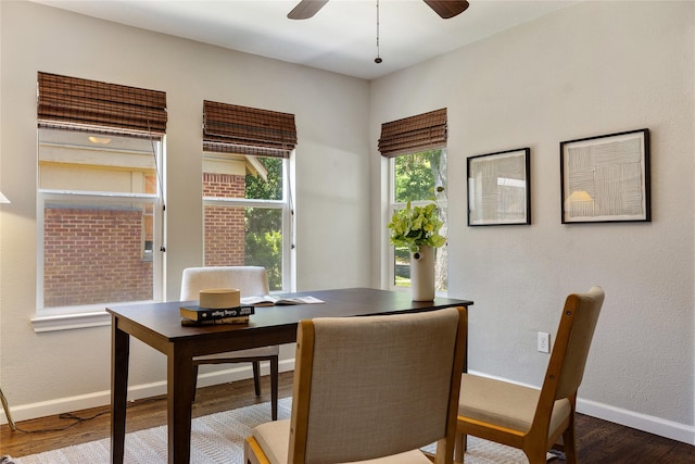 dining area with ceiling fan and hardwood / wood-style flooring