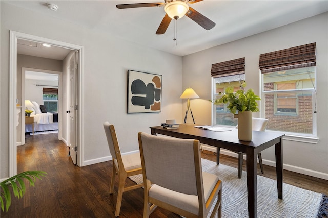 office featuring ceiling fan and dark hardwood / wood-style floors