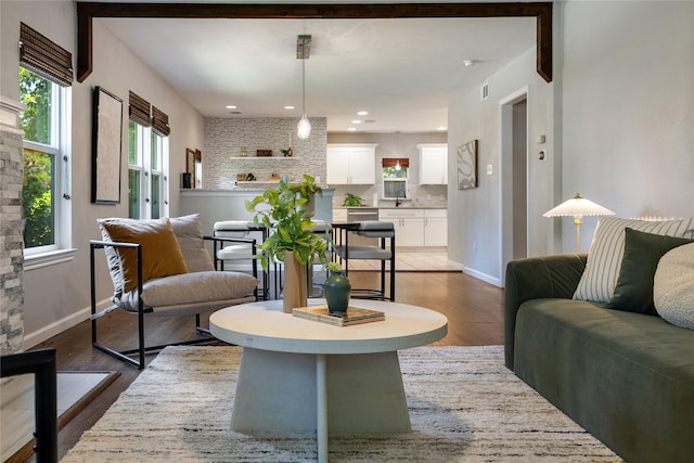 living room with a healthy amount of sunlight, wood-type flooring, and sink