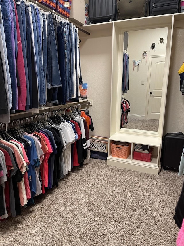 spacious closet featuring carpet