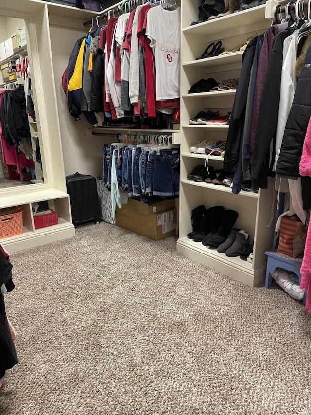 walk in closet featuring carpet flooring