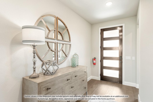 foyer entrance with dark hardwood / wood-style flooring