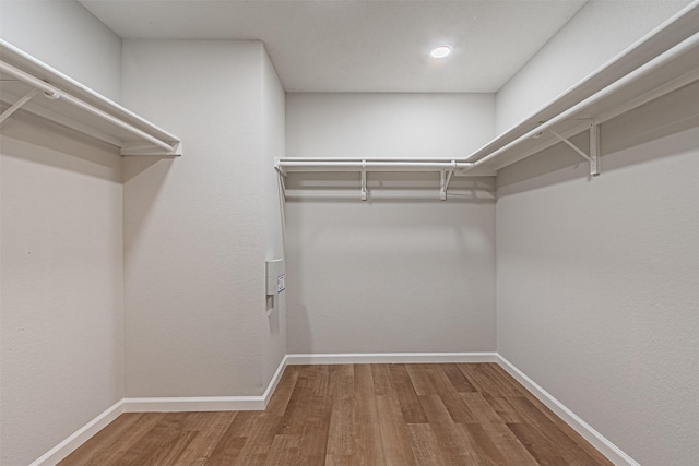 walk in closet featuring hardwood / wood-style flooring