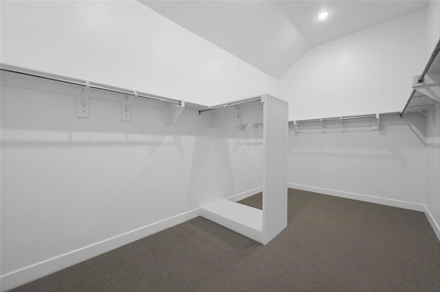 spacious closet with vaulted ceiling and dark carpet