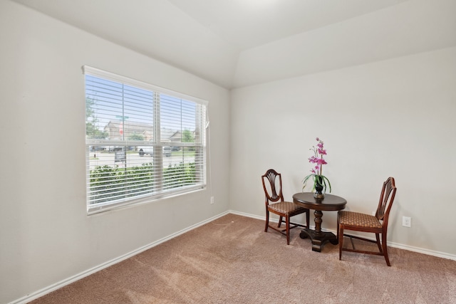 interior space with vaulted ceiling and light colored carpet