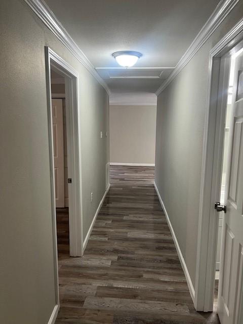 hallway featuring a textured ceiling, dark hardwood / wood-style flooring, and ornamental molding