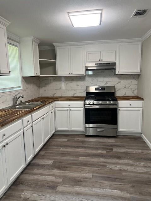 kitchen with stainless steel gas stove, backsplash, dark hardwood / wood-style flooring, and sink