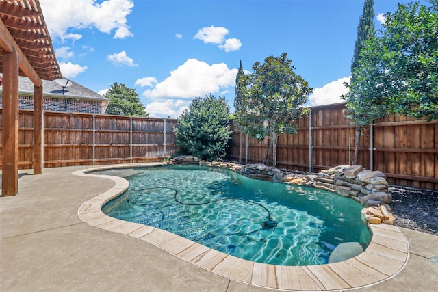 view of pool with a patio area