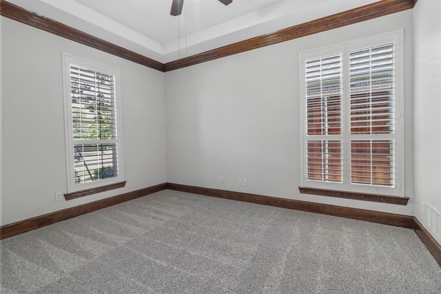 empty room with carpet flooring, ceiling fan, and a tray ceiling