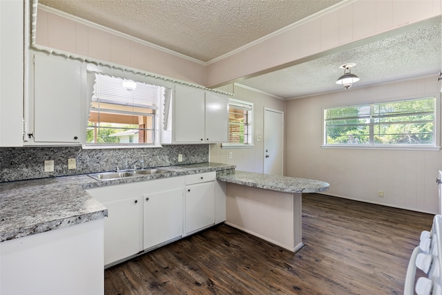 kitchen featuring white cabinetry, a wealth of natural light, and dark hardwood / wood-style floors