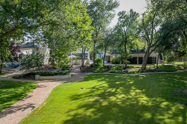 view of property's community with a lawn