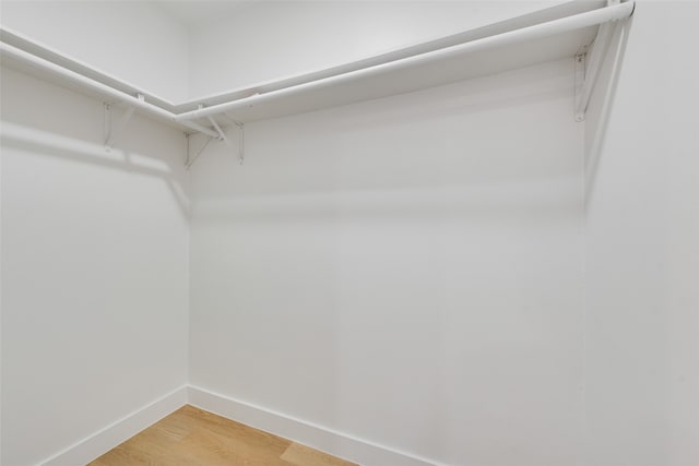 spacious closet featuring wood-type flooring