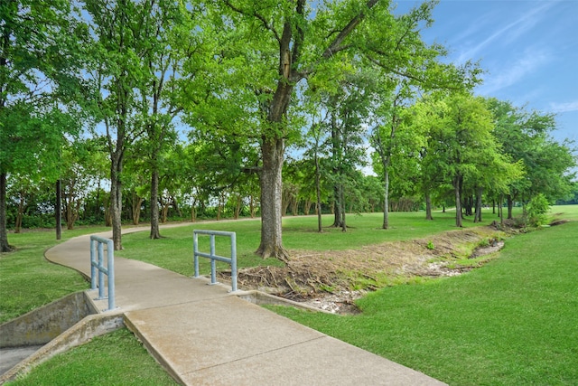 view of community with a lawn