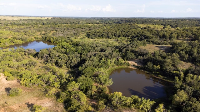 0000 Fm-209, Newcastle TX, 76450 land for sale