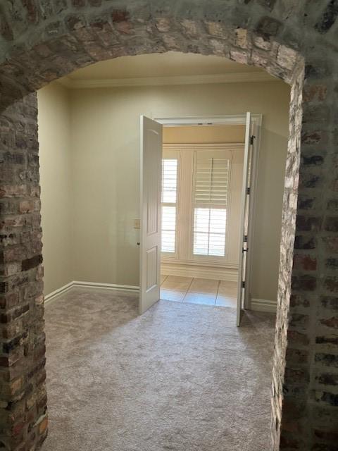 corridor with ornamental molding and carpet