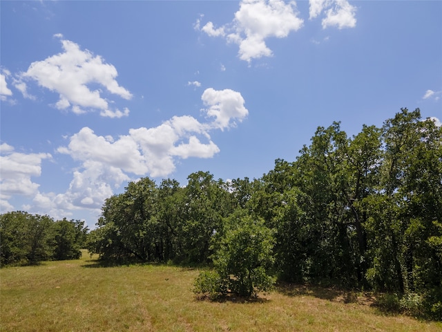 109 Coyote Cave Ln, Alvord TX, 76225 land for sale