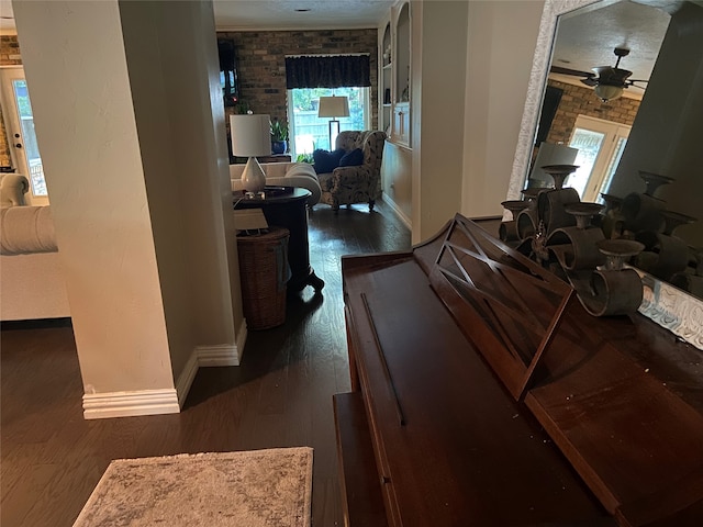 hallway with brick wall, dark hardwood / wood-style floors, and a wealth of natural light